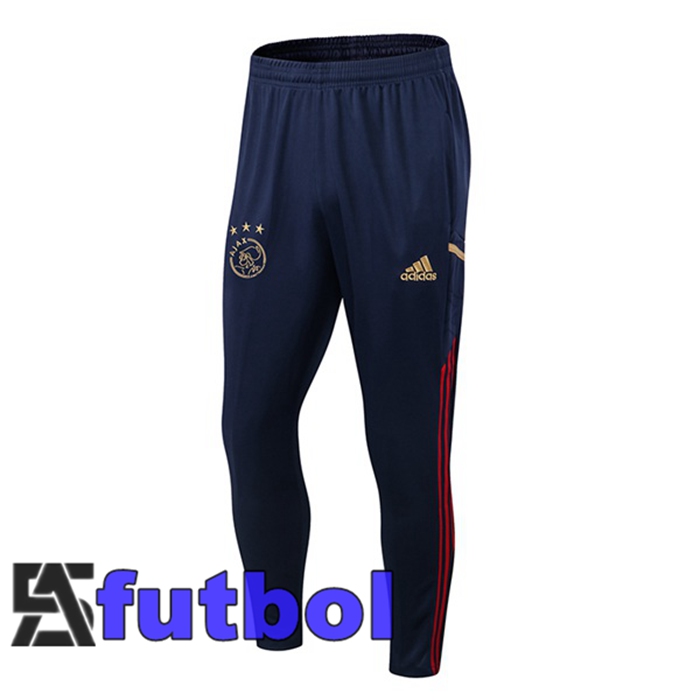 Pantalon Entrenamiento Afc Ajax Azul 2022/2023