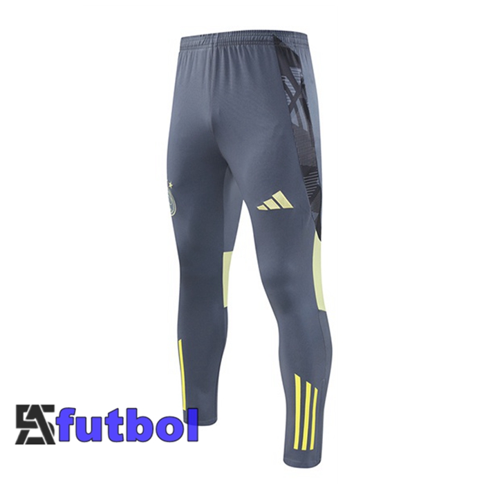 Pantalon Entrenamiento AFC Ajax Gris 2024/2025